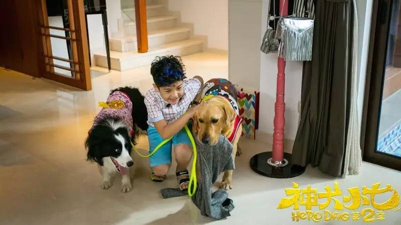 神犬小七2和麻辣变形计相同演员,神犬小七2麻辣变形计