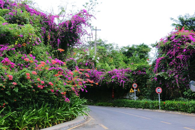 用味蕾感受爱情的酸甜苦辣,用味蕾感受美食独特的魅力