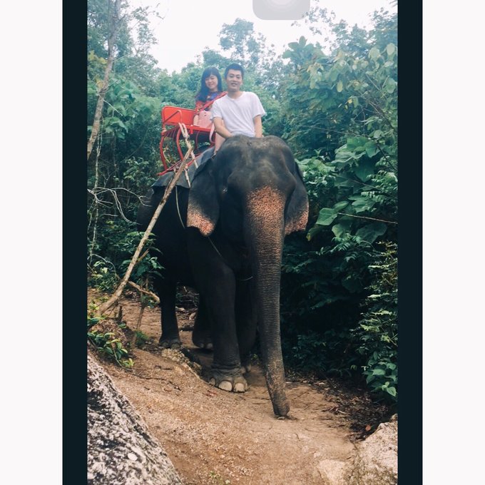 泰国普吉岛3日游攻略2015,泰国曼谷普吉岛照片