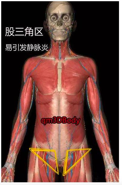 人体有八大危险三角区你应该知道,人体最危险的三角区
