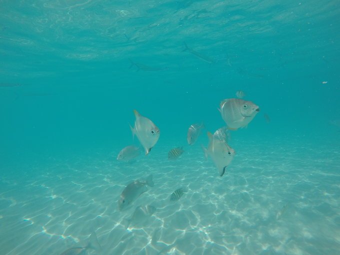 马来半岛岛屿分布图,马来半岛东侧岛屿介绍