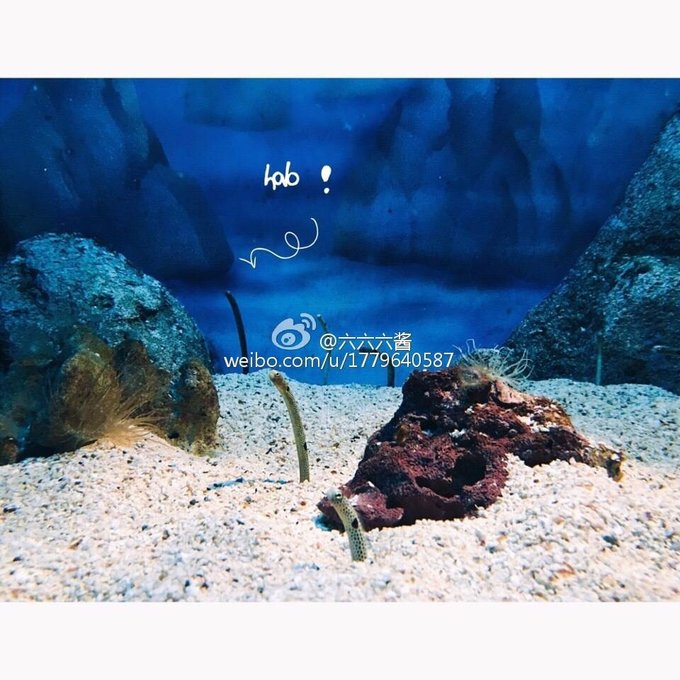 普吉岛7日游价格表大全图,泰国图片普吉岛