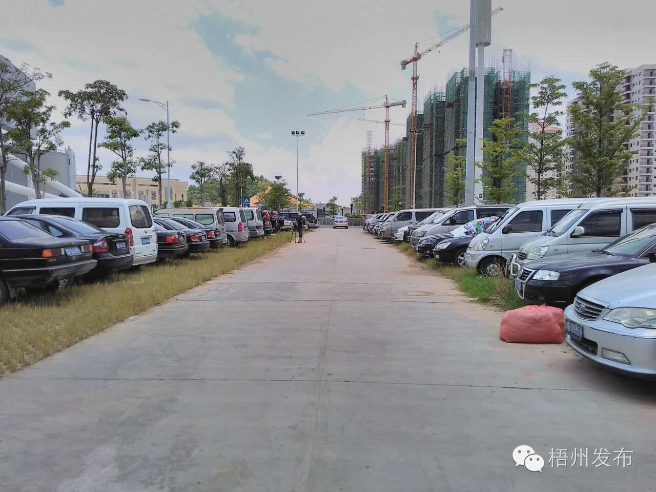 公车网上拍卖技巧,公车拍卖在哪个网查询