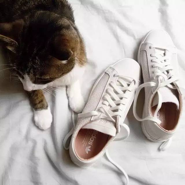 朴信惠同款的鞋,朴信惠同款n字老爹鞋