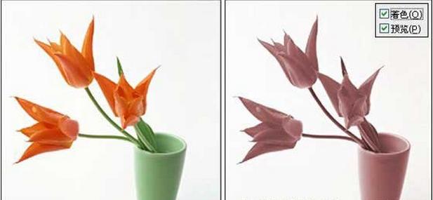 photoshop图像菜单的内容,photoshop菜单栏中包括哪九个菜单项