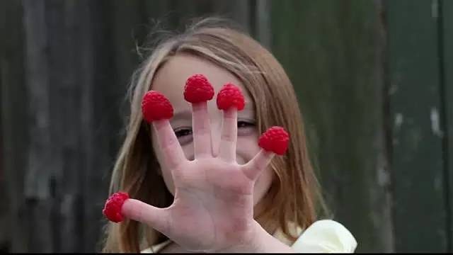 树莓蔓越莓傻傻分不清楚,蔓越莓树莓覆盆子