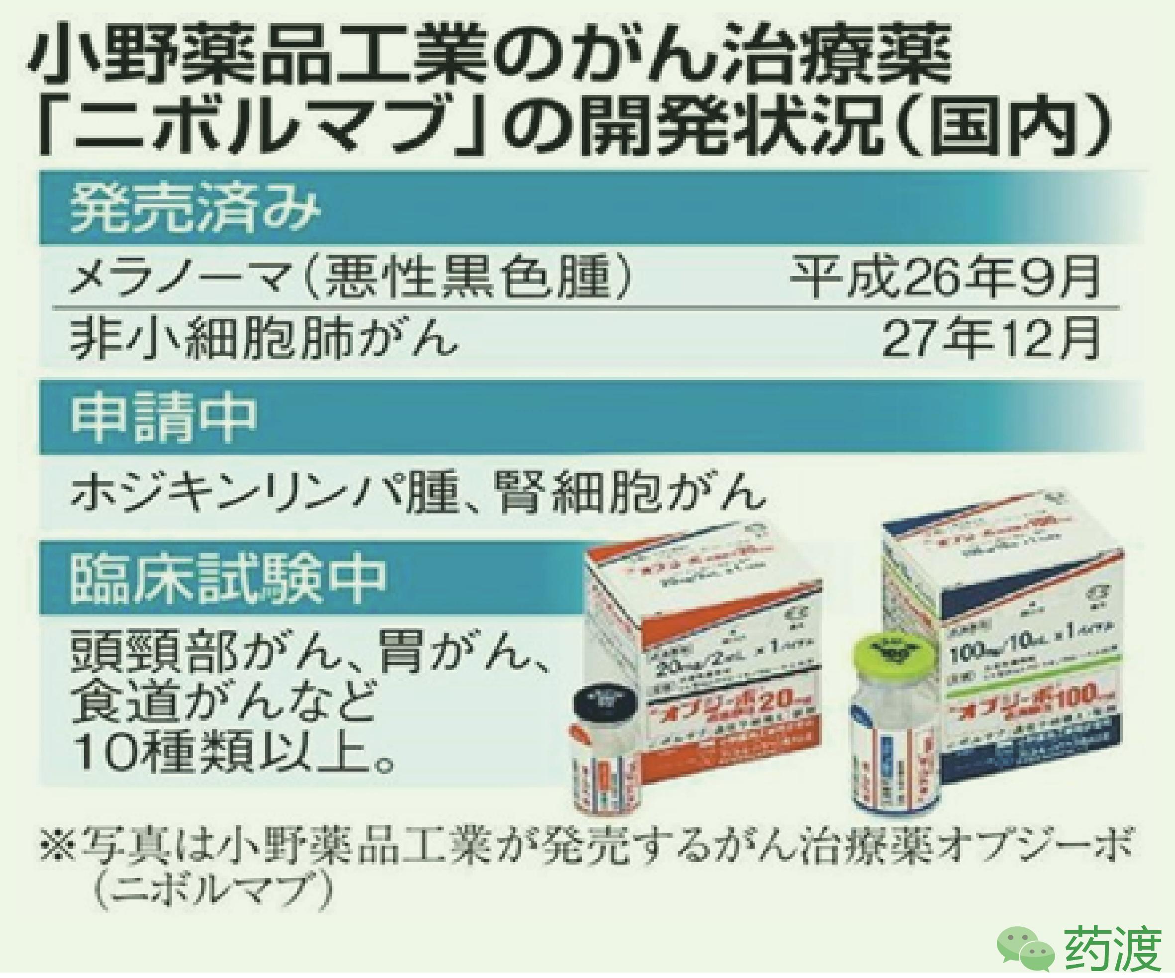 日本十大最著名药厂,日本的知名药厂