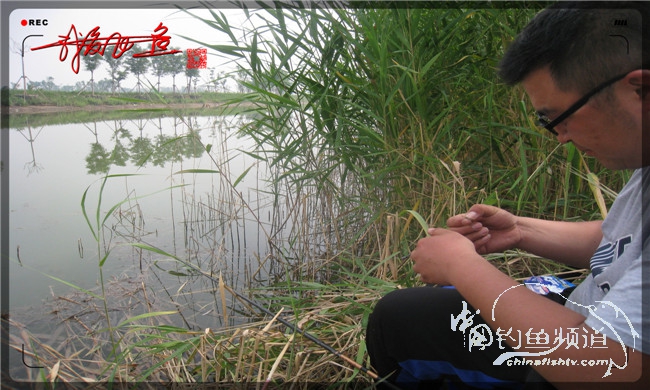 马踏湖国家湿地公园远足,马踏湖国家湿地公园游览路线