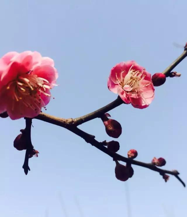 吃完这100种美食、看过这100种风景，可能再也离不开太仓！