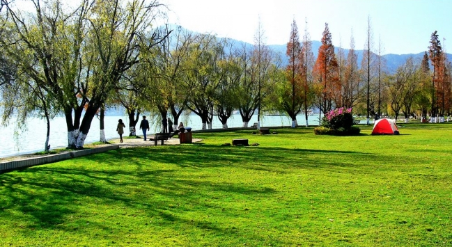 人文自驾国足主帅高洪波、前米卢都青睐的昆明海埂基地周边景观