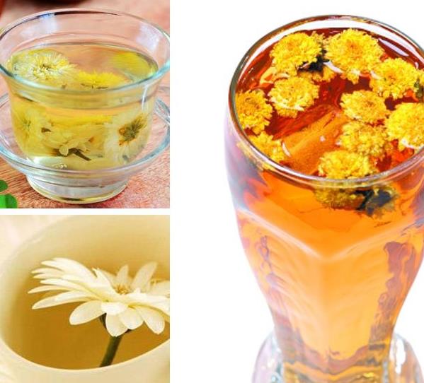 夏天，给爱鸽泡杯茶降降温吧