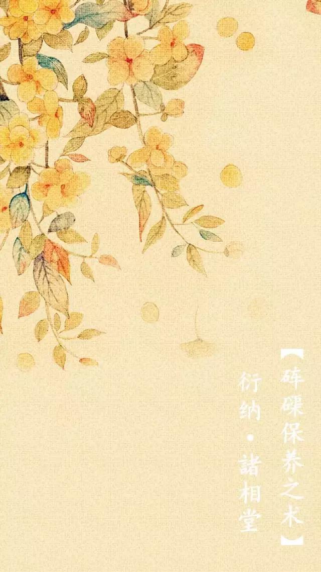 砗磲的保养方法图解,贝壳珠项链女款