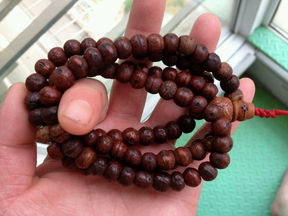 你对星月菩提有了解吗,星月菩提的真实内幕