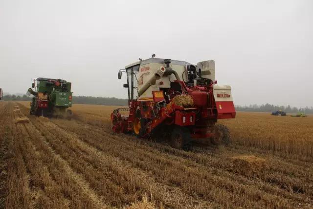 只有门脸没有货，人家这超市凭啥还这么火？