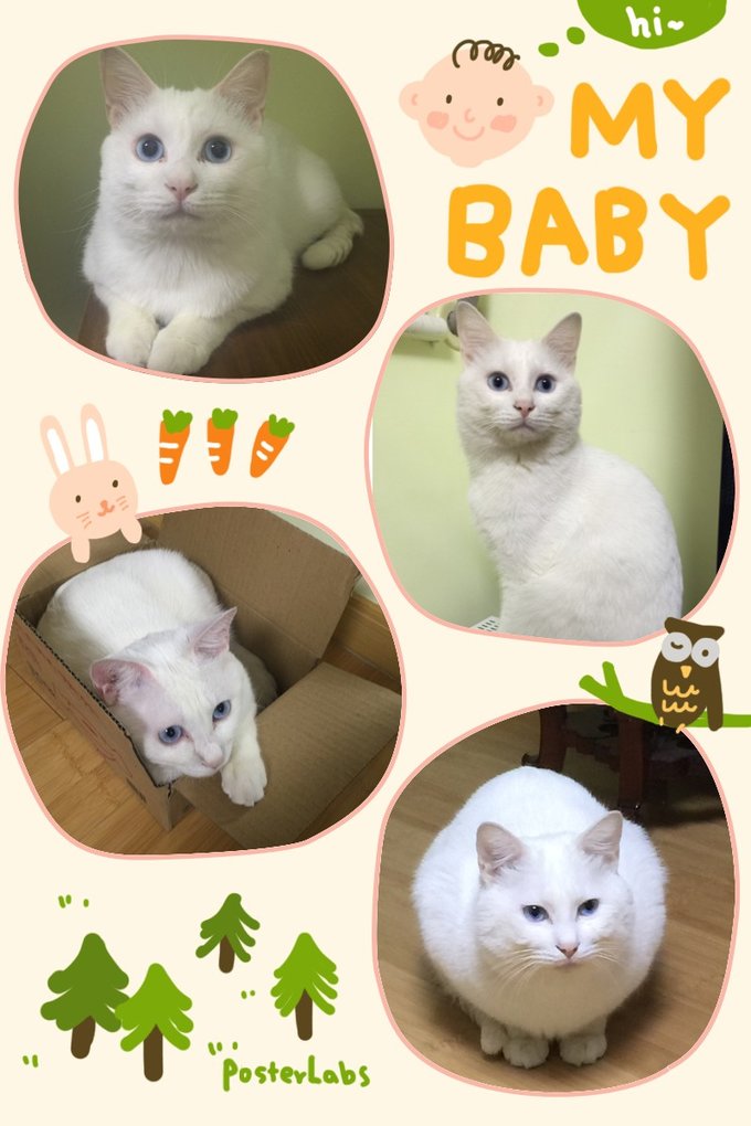 对于北海道,再一再二又再三之稚内、利尻岛、礼文岛、带广、神威岬、余市初造访