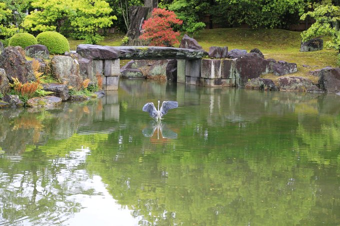 京都攻略,京都深度游玩攻略