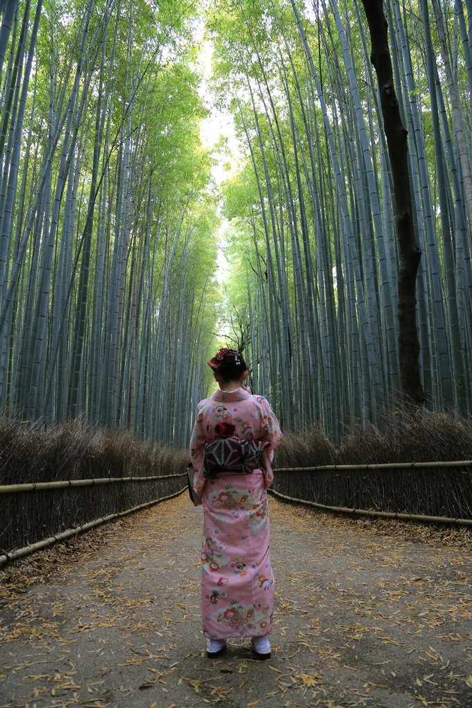 京都攻略,京都深度游玩攻略