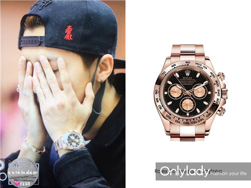 小猪伊万婚礼视频,小猪和伊万最新视频