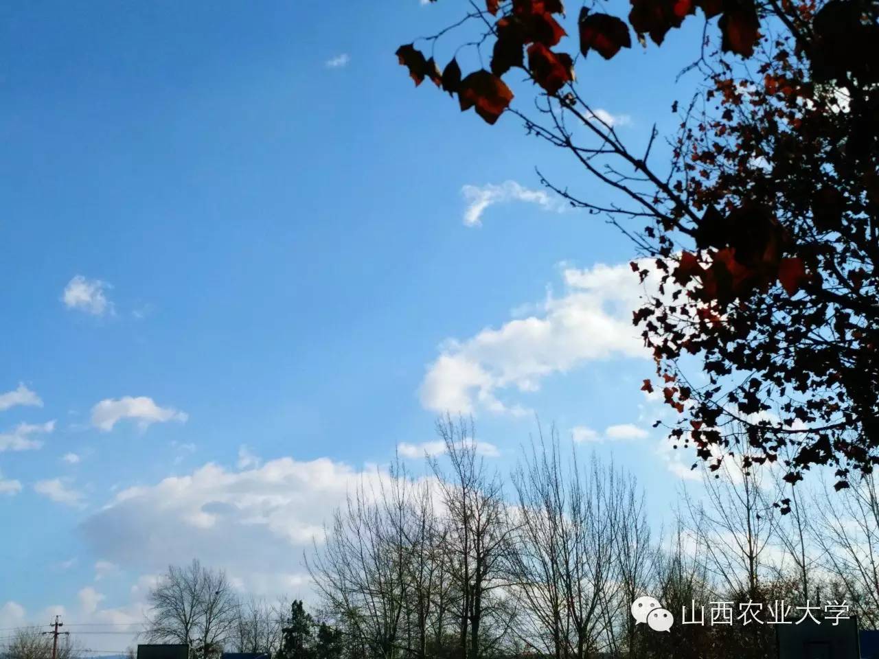 在山西农业大学有哪些学院呢？学院又是如何规划的呢?戳图文查看