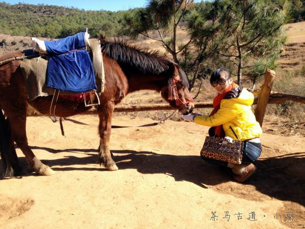 人生若只如初见在广州,人生若只如初见云南