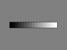 积家小丑顶级复刻手表,积家小丑复刻哪个厂好