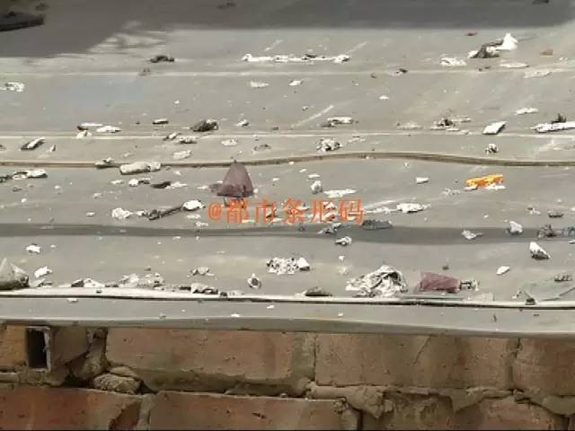 小区燕子来访居民不堪其扰