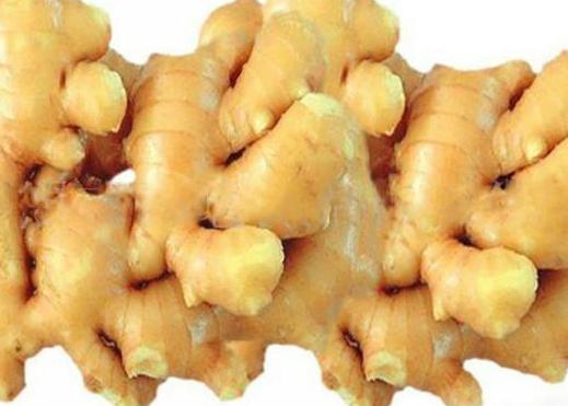 熬中药忘了放生姜引子怎么办,熬中药放大枣和生姜的原因