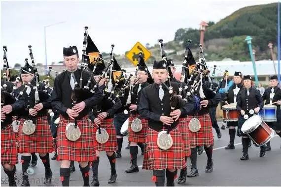 新西兰南岛大海,新西兰海鲜哪个最好吃视频