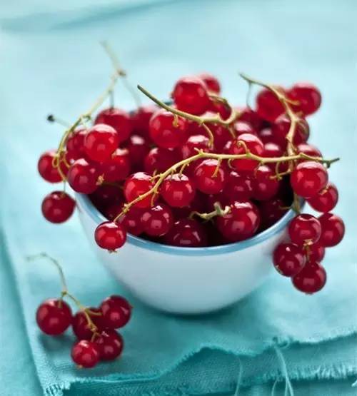 树莓、覆盆子、蔓越莓、黑莓，这些咖啡里的风味原型，你分得清楚