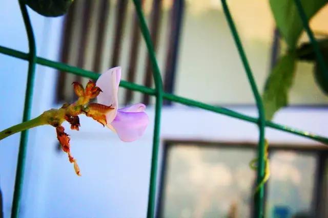 用十年“食光”，去结交一座城