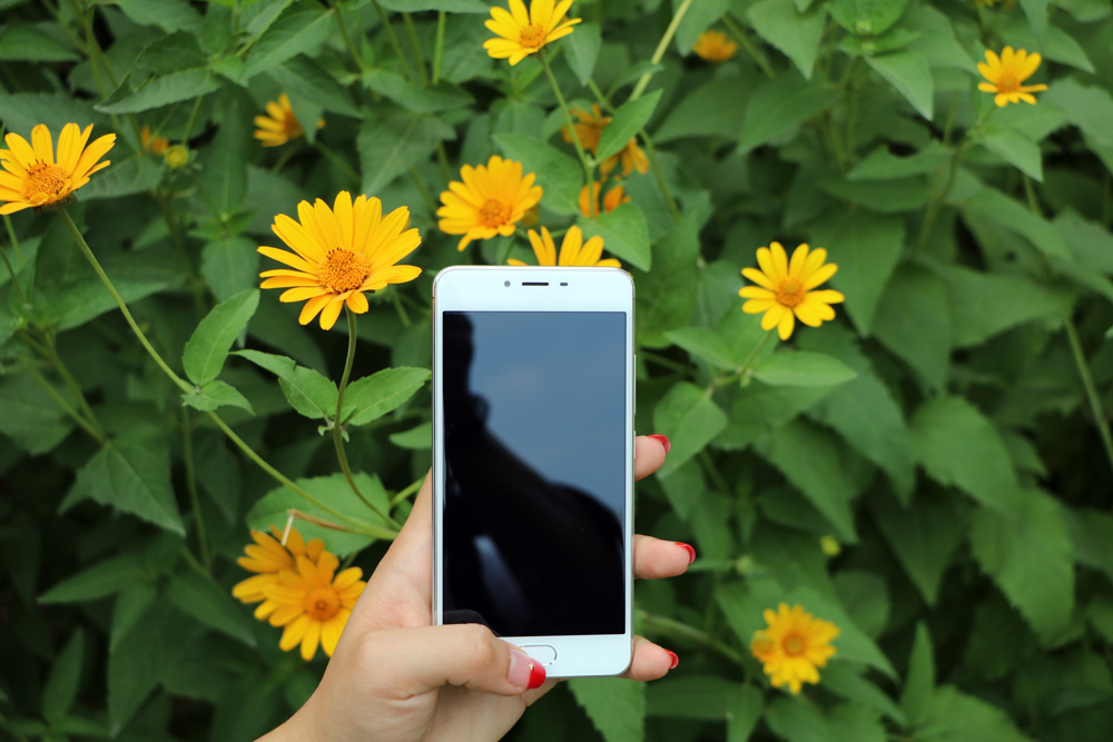 魅蓝3s参数配置屏幕,魅蓝3s指纹