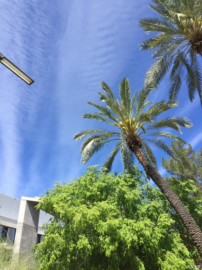 2019纽约车展英菲尼迪qx70,英菲尼迪fx35车主用车感受