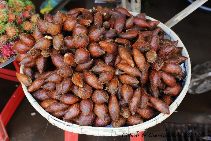 柬埔寨必去景点推荐,柬埔寨旅游必去的九大绝佳景点