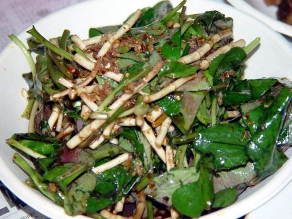 慢性咽喉炎肺阴虚吃什么中成药,肺热喉咙痛有什么食疗