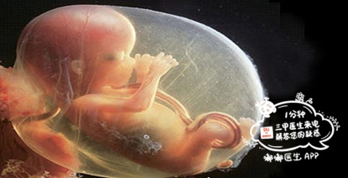 孕6周孕反突然消失是胎停迹象吗,产检正常突然胎停医院有责任吗