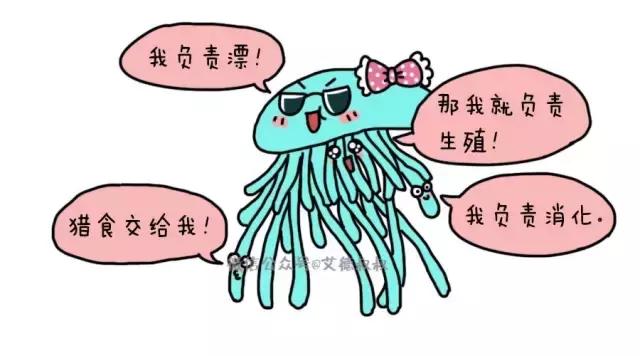 夏天带宝宝去海边玩注意什么,带娃到海边玩一定要注意安全