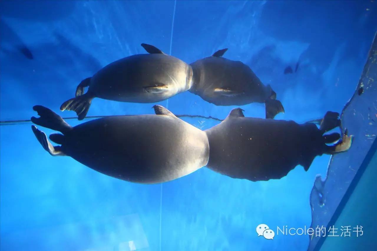 中蒙俄茶叶之路|走近多彩的俄罗斯