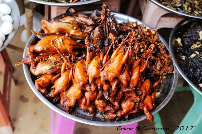 柬埔寨必去景点推荐,柬埔寨旅游必去的九大绝佳景点