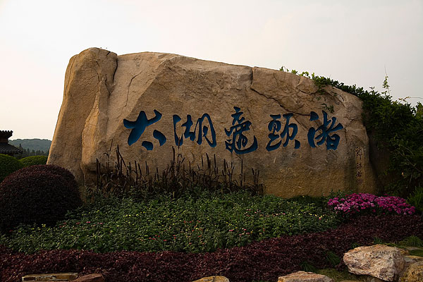 钓鱼小药鲤鱼王,钓鱼王小药饵料