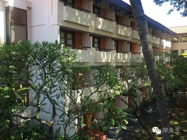 巴厘岛攻略|花155元望着大海享受SPA,神仙也不过如此