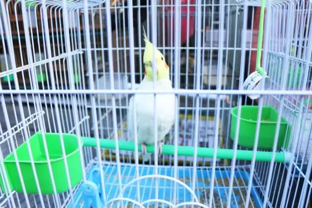 泉州一条老街一段故事,泉州老街巷的传说