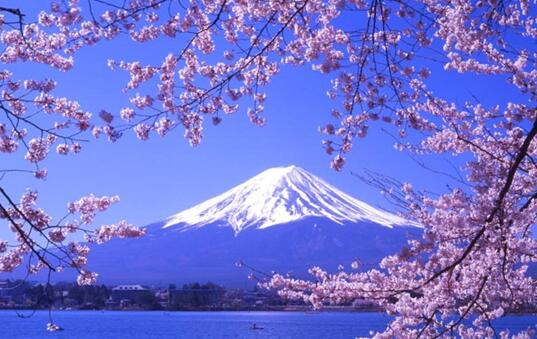 日本留学回国最新政策,日本留学研究生最新政策