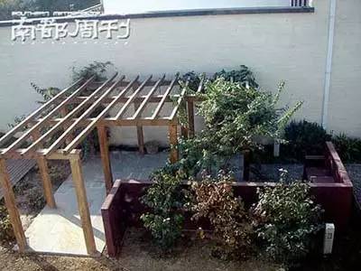 张亚东瞿颖官宣,张亚东瞿颖分手