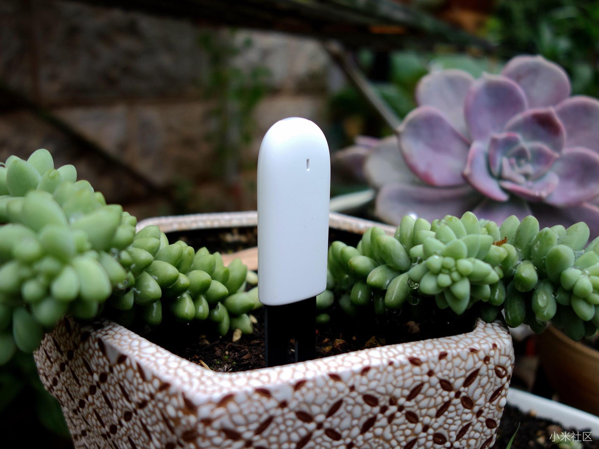 种花检测仪哪种好,花草检测仪好用吗