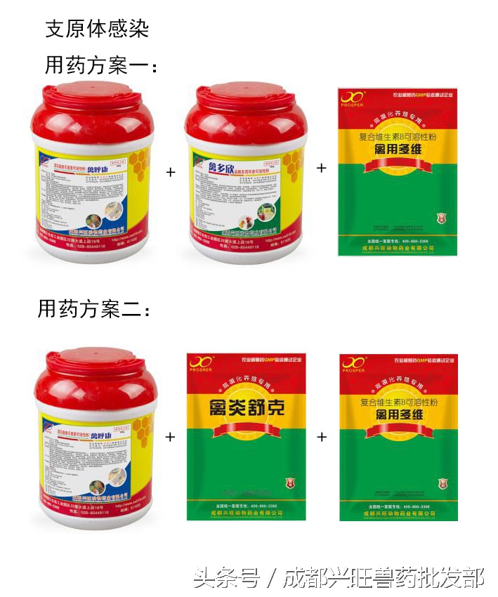 一例鸡慢性呼吸道病的诊断与治疗,治疗鸡慢性呼吸道疾病的中草药