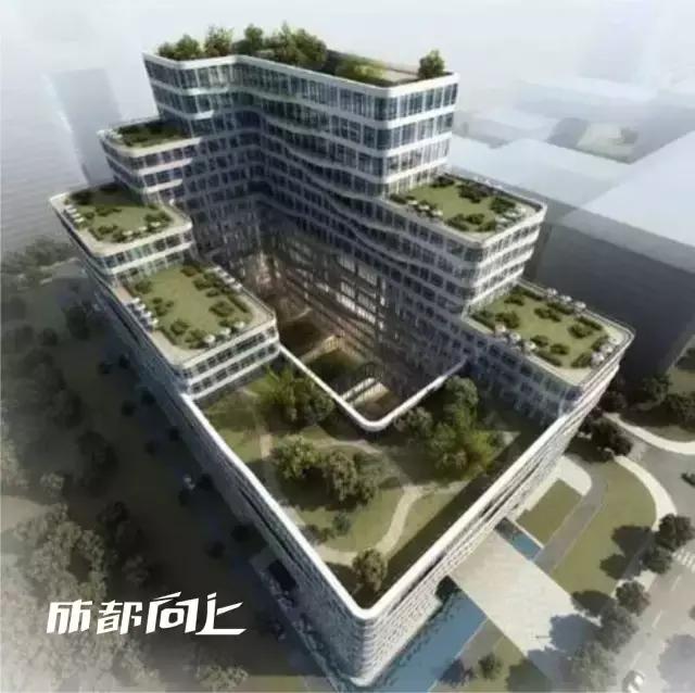 UP调查｜公司南迁写字楼大测评For大公司篇