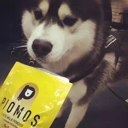 肿么办,就是超爱喝这款山羊奶粉拦都拦不住!