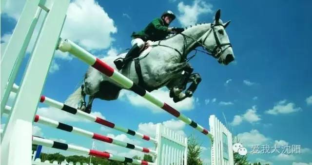 沈阳夏日避暑攻略,沈阳周边夏季避暑旅游胜地