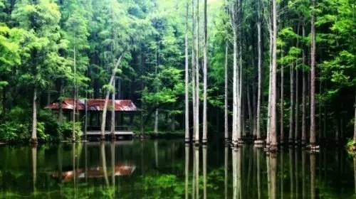 信阳避暑一个月,热吗来珠海避暑