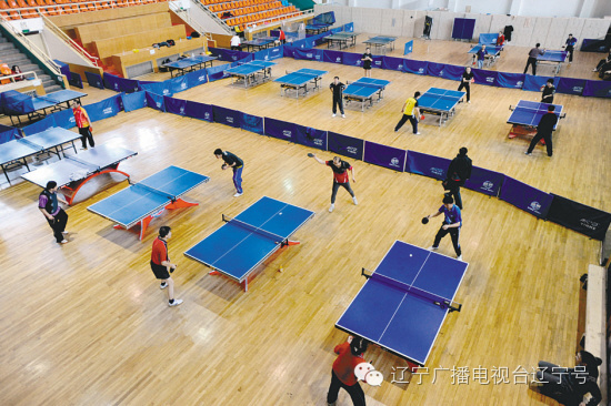 何必花钱去健身？沈阳市公共体育场馆“随便挑”